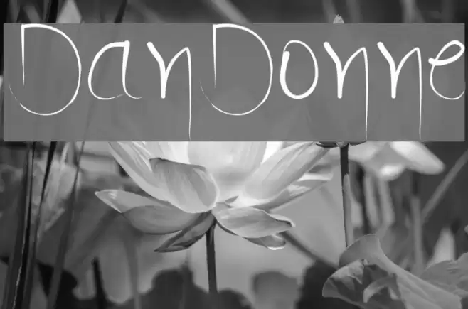 DanDonne Font examples