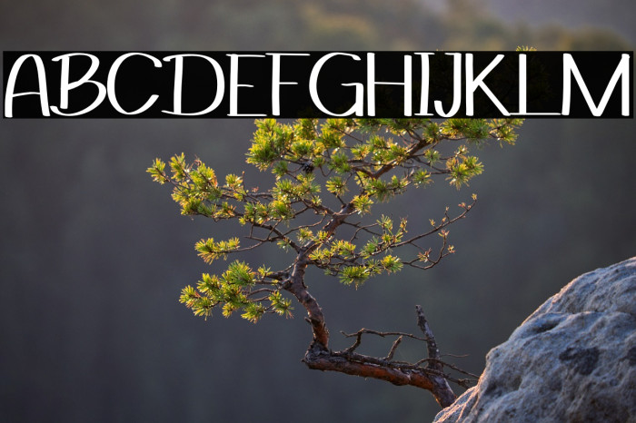 Dana N Tara Example 1