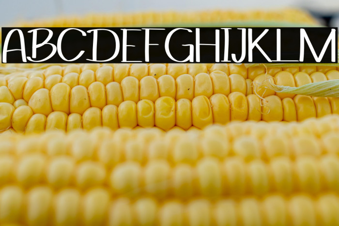 Dana N Tara Example 3