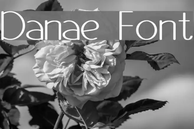 Danae Example 1