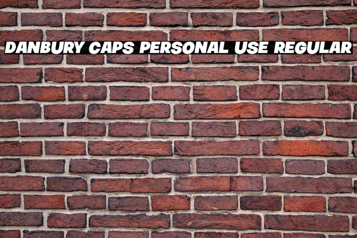 Danbury Caps PERSONAL USE Regular Example 3