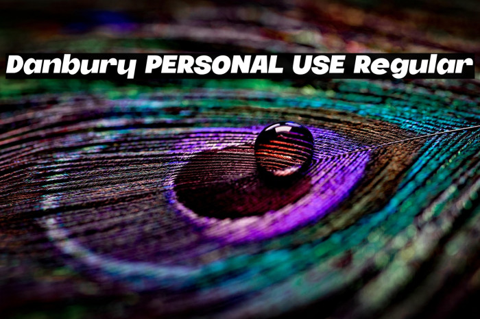 Danbury PERSONAL USE Regular Example 2