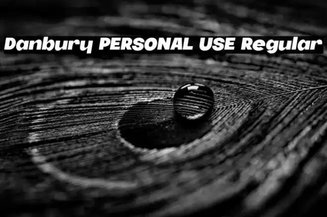 Danbury PERSONAL USE Regular Font examples