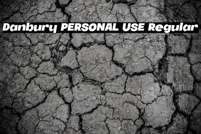 Danbury PERSONAL USE Regular Example 3