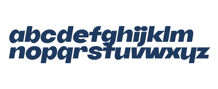 Danbury PERSONAL USE Regular Lowercase