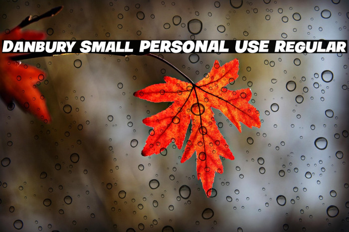 Danbury Small PERSONAL USE Regular Example 1