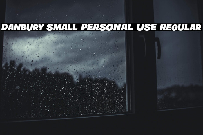 Danbury Small PERSONAL USE Regular Example 3