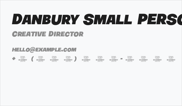 Danbury Small PERSONAL USE Regular Business Card