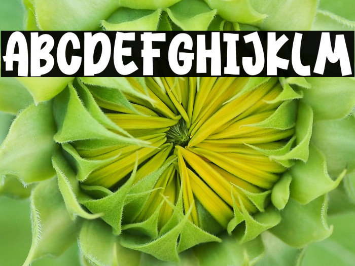 Dance Today Example 2