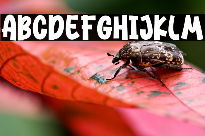 Dance Today Example 3