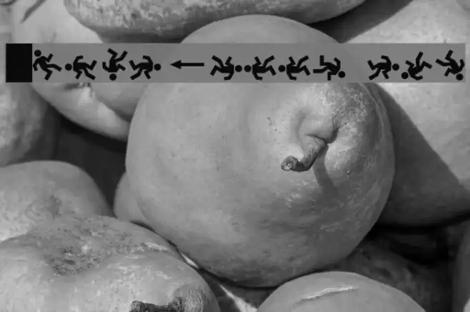 DanceFloor eXit Font examples