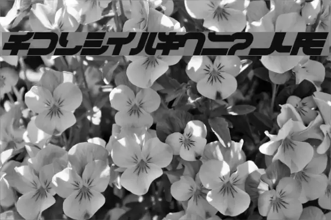 DanceMixN Font examples