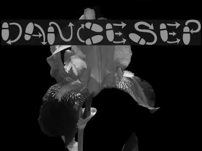 DanceStep Font examples