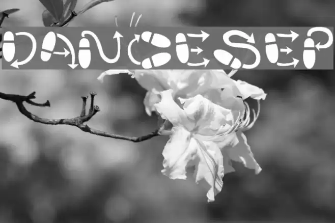 DanceStep Font examples