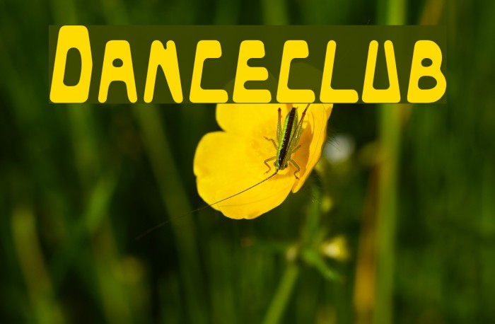 Danceclub Font examples
