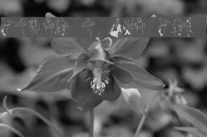 Dancer In The Dark III Font examples