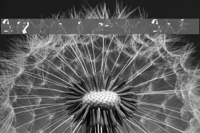 Dancer In The Dark II Fonte examples