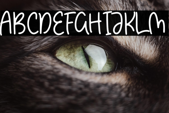 Dancing Brothers Example 3