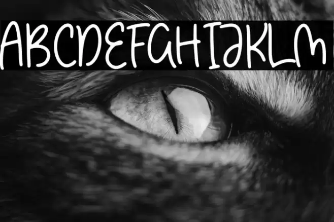 Dancing Brothers Font examples