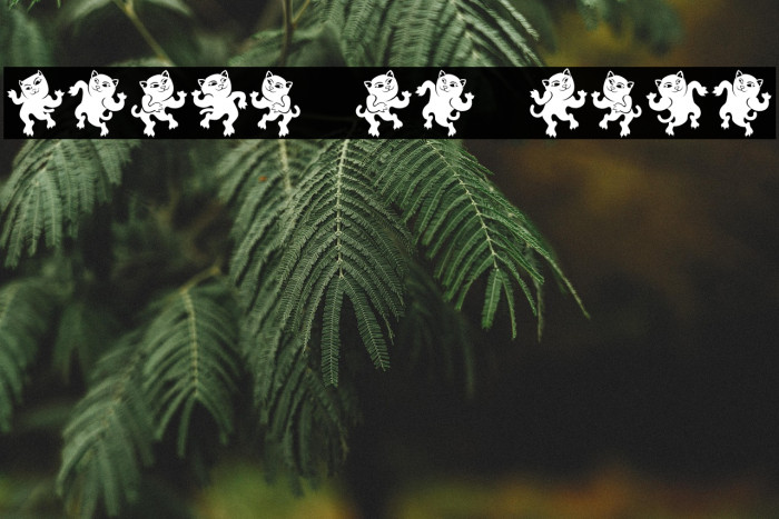 Dancing Cat Regular Example 1