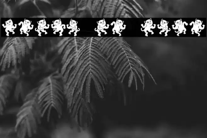 Dancing Cat Regular Font examples