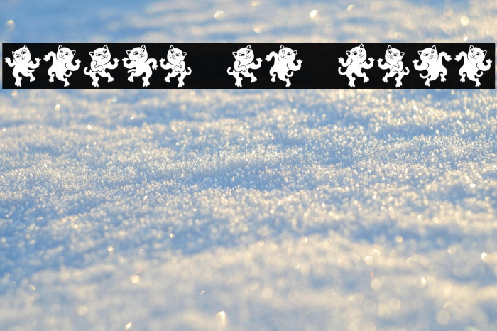 Dancing Cat Regular Example 3