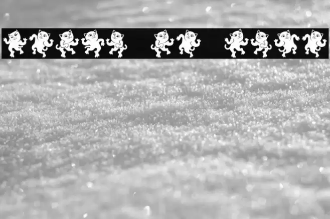 Dancing Cat Regular Font examples