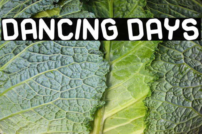 Dancing Days Example 1