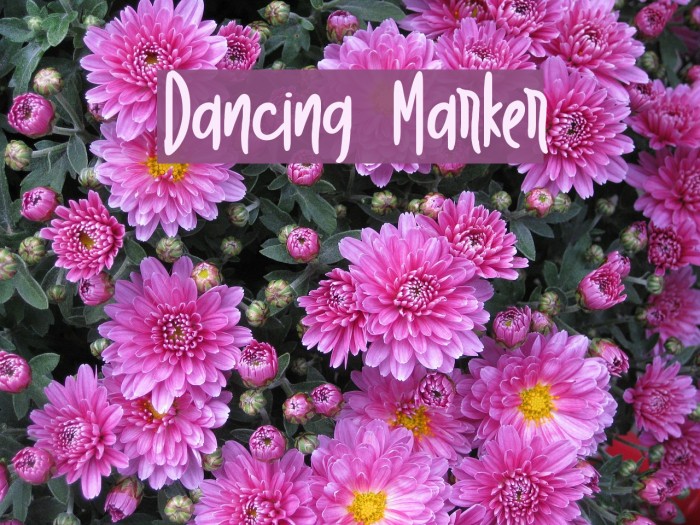 Dancing Marker Example 2