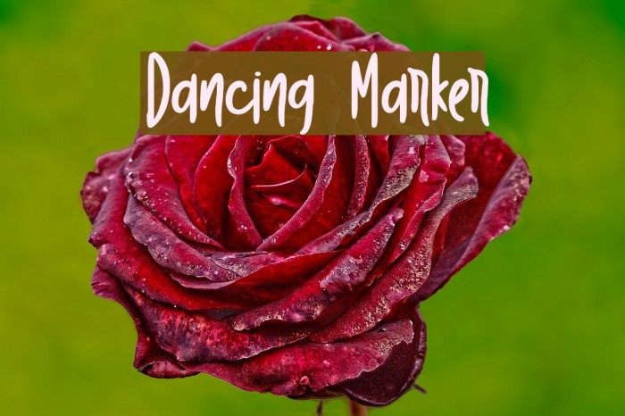 Dancing Marker Example 3