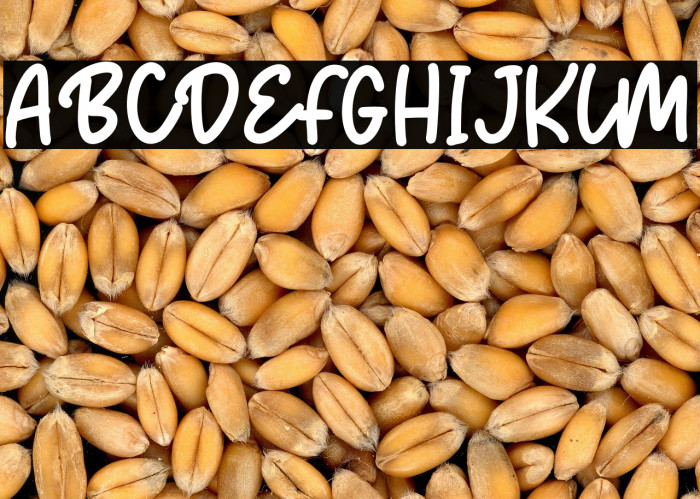 Dancing Panda Example 3