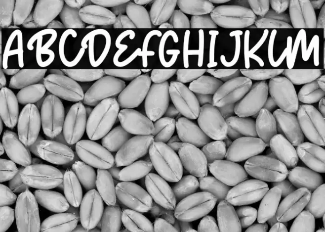 Dancing Panda Font examples