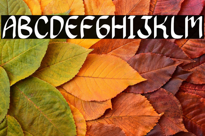 Dancing Queen Example 1