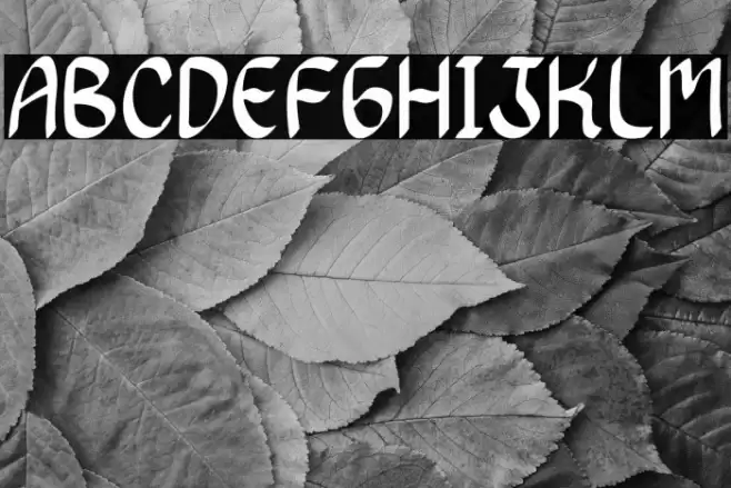 Dancing Queen Font examples