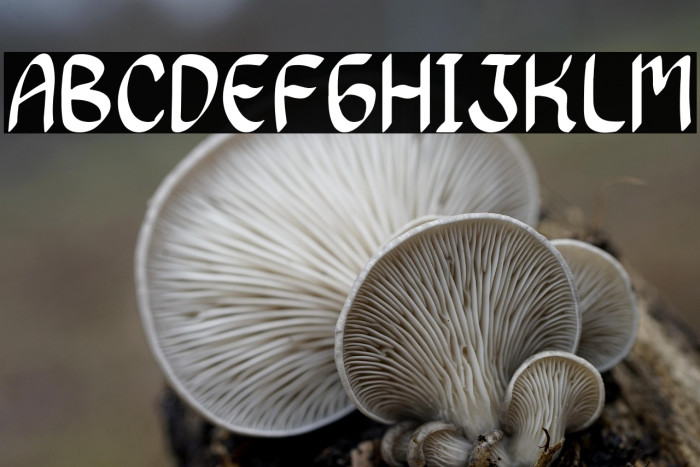 Dancing Queen Example 3