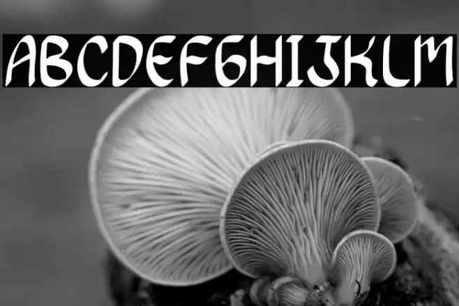 Dancing Queen Font examples