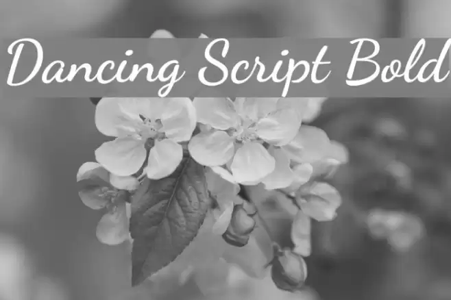 Dancing Script Bold Font examples