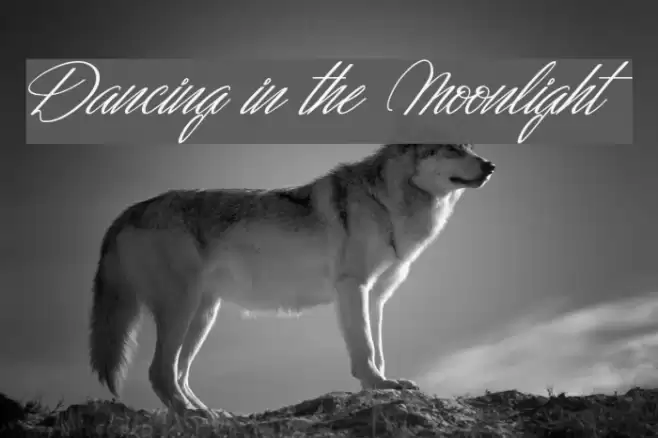 Dancing in the Moonlight Font examples