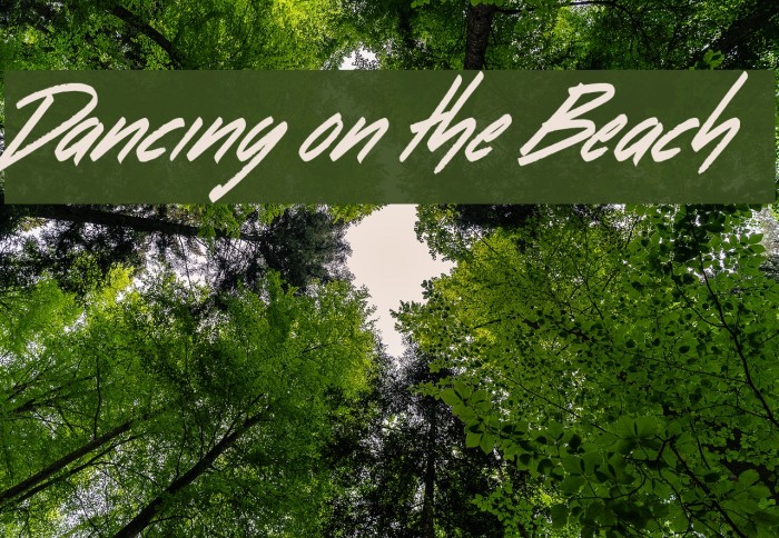 Dancing on the Beach Font examples