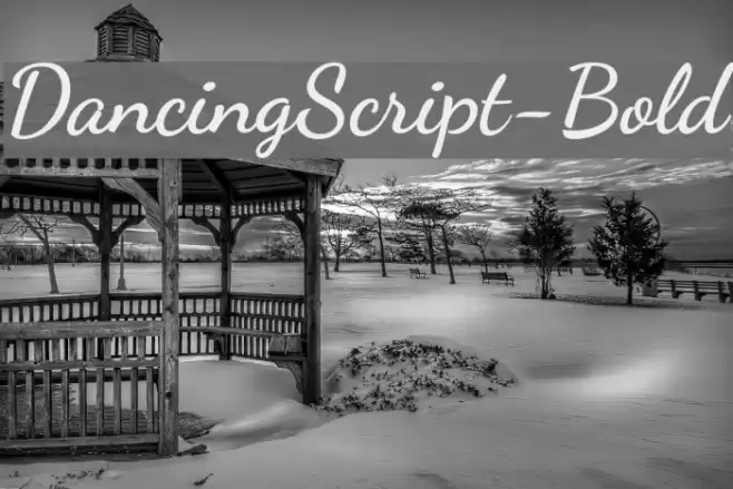 DancingScript-Bold Font examples
