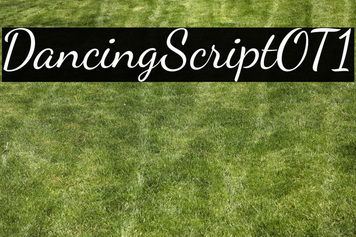 DancingScriptOT1 Example 2