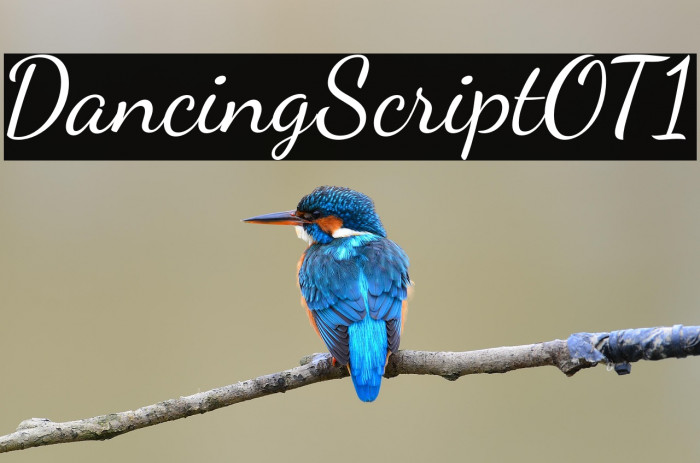 DancingScriptOT1 Example 3