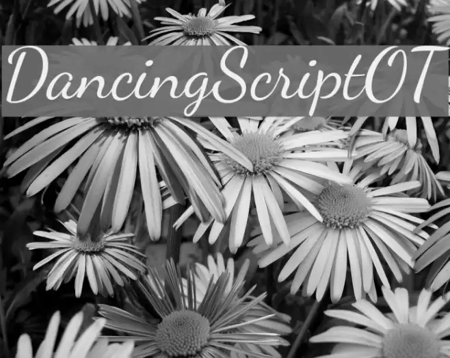 DancingScriptOT Schriftart examples