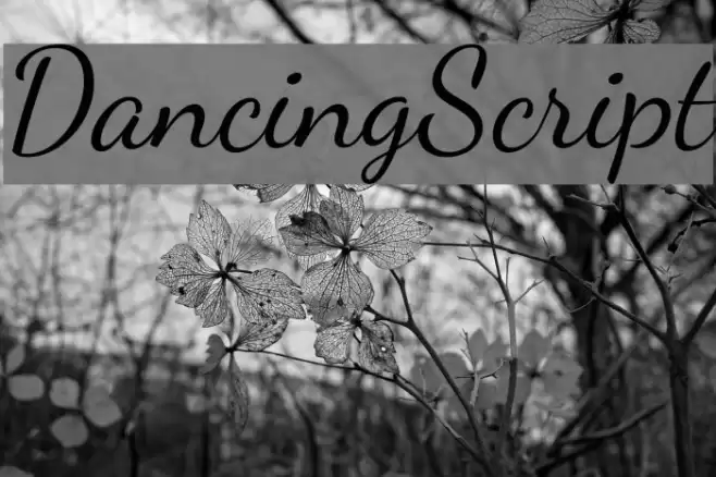DancingScript Font examples