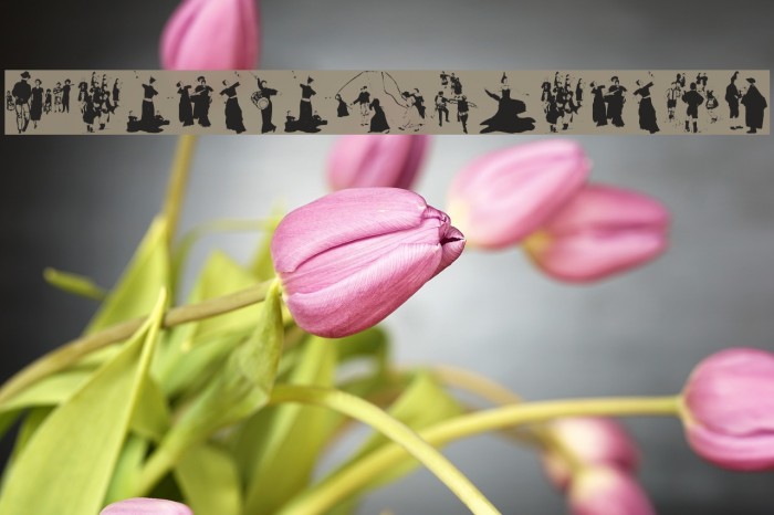 DancingTraces Example 1