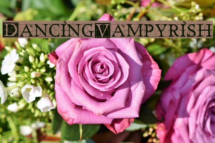DancingVampyrish Font examples