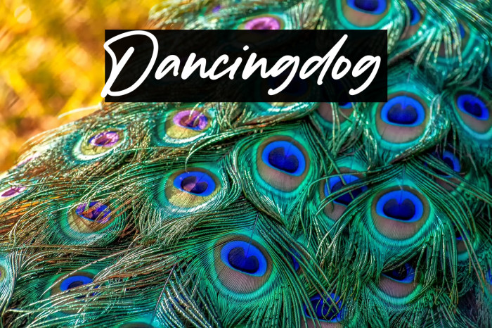 Dancingdog Example 1