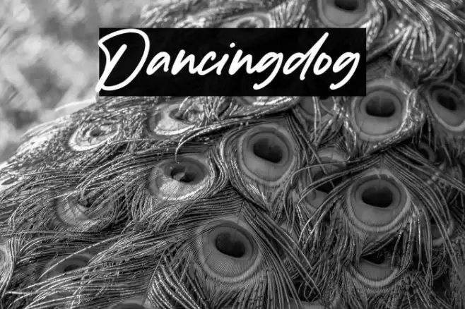 Dancingdog Font examples