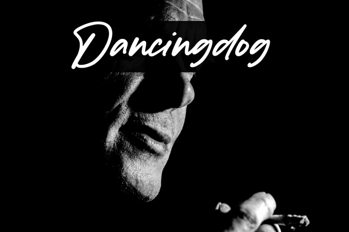 Dancingdog Example 2