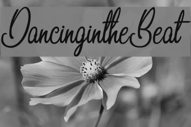 DancingintheBeat Font examples